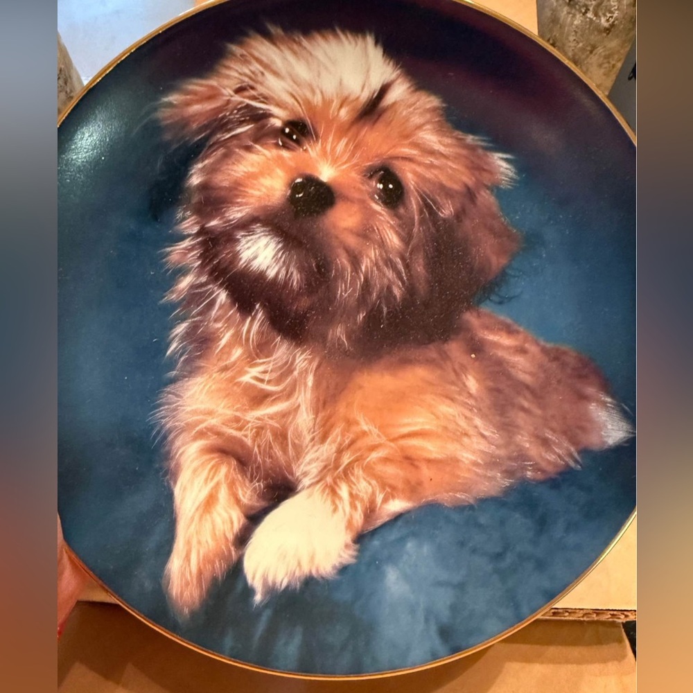 “Oh How Cute” VINTAGE COLLECTOR PLATE, ROBERT PEARCY